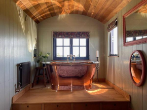 Novelist Shepherd's hut